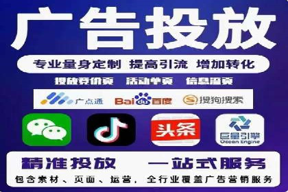 某某sem推广公司在某行业的应用与效果分析